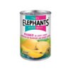 Twin Elephants Mango in Syrup 565g