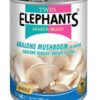 Twin Elephants Abalone Mushroom in Brine